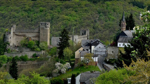 Burg Hohenstein Burg auf einem Berg im Wald