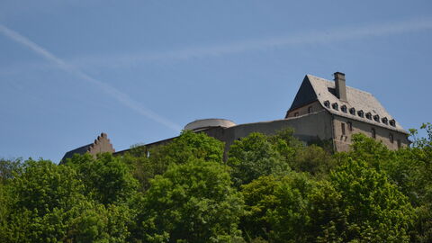 Veste Otzberg Burg auf einem Berg mit Bäumen
