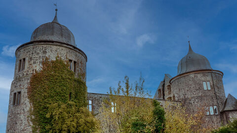 Die Sababurg steht auf einem Hügel, umgeben von dichtem Grün.
