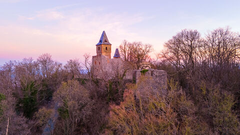 Auf dem Bild ist Burg Frankenstein bei Sonnenuntergang im Wald zu erkennen.