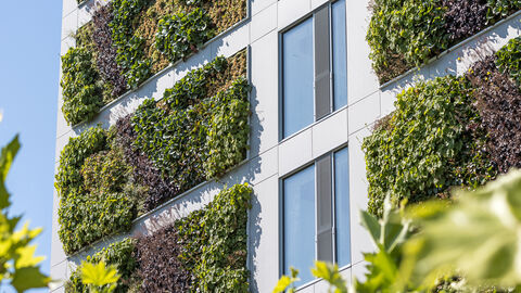 Grüne Fassade am sanierten Hochhaus C10 der THM